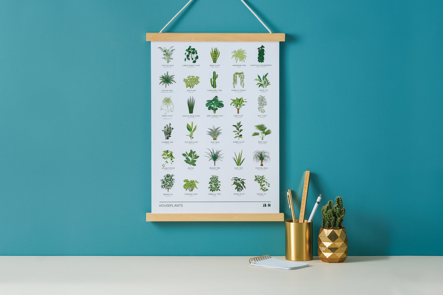 Poster met 30 planten en namen A3