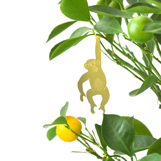 Plant Hanger Chimpansee Goud (10g)