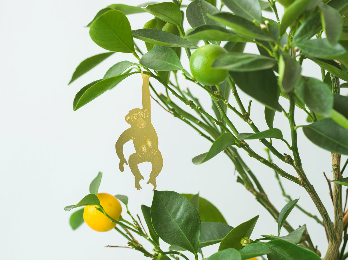 Plant Hanger Chimpansee Goud (10g)