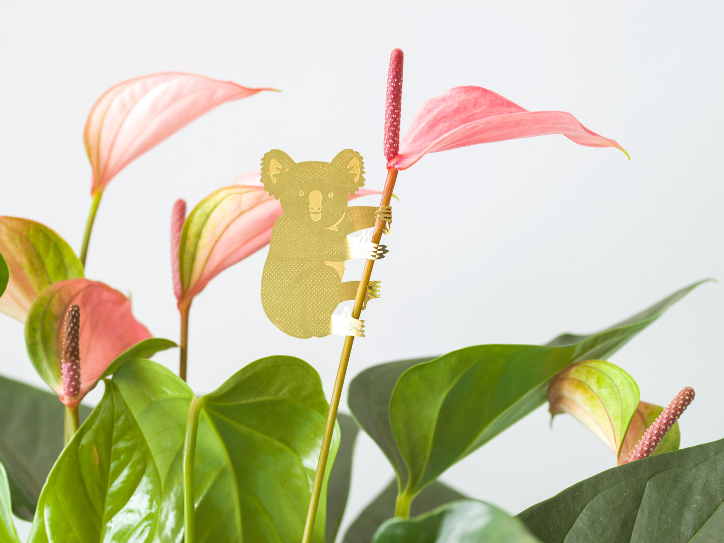 Plant Pendant Koala Gold (10g) 