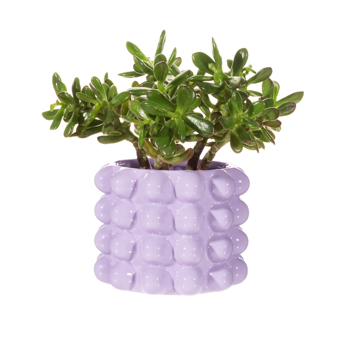 Flowerpot with Balls in Lila Pastel