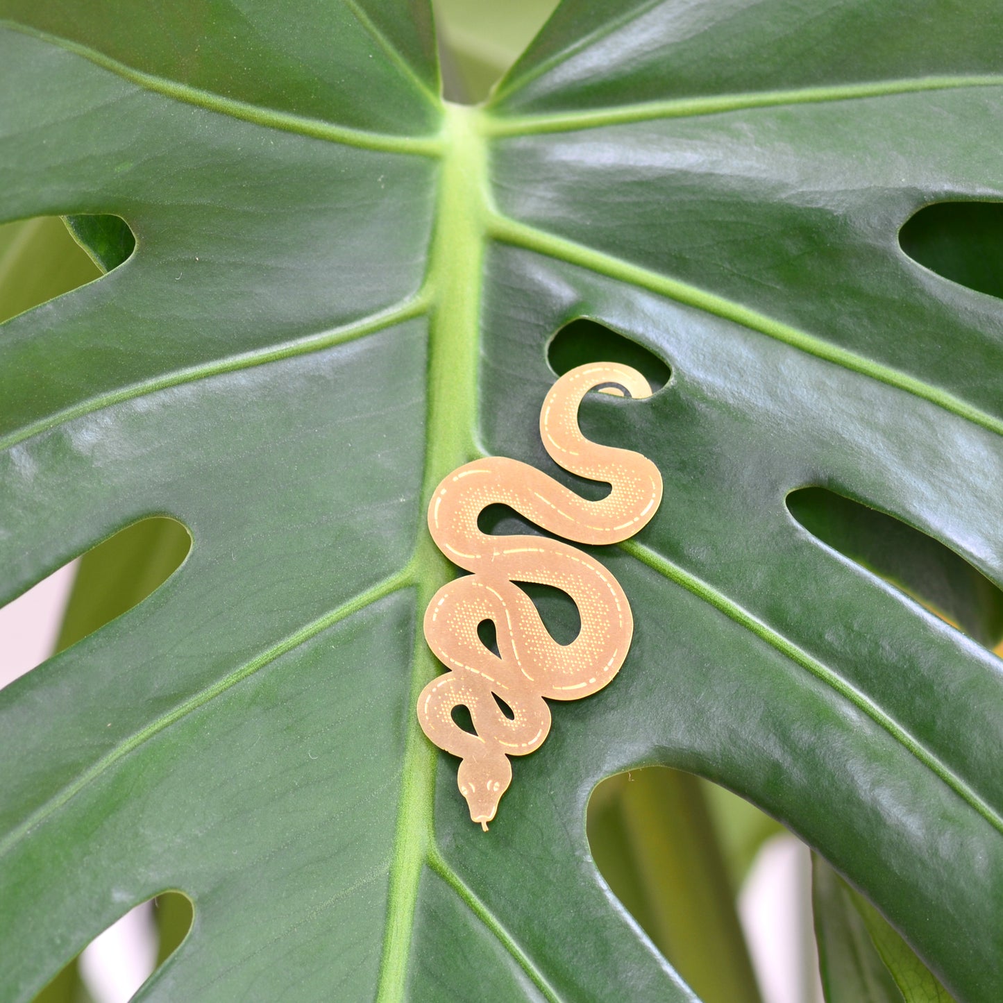 Plant Hanger Snake Gold (10g) 
