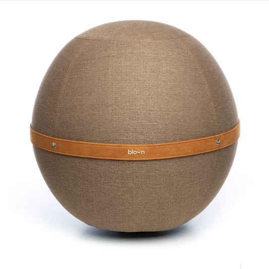 Ergonomic Sitting Ball Design Brown Retro Regular