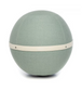 Ergonomic Sitting Ball Design Pastel Mint Regular