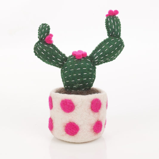 Vilten Roze Cactus met Stippen